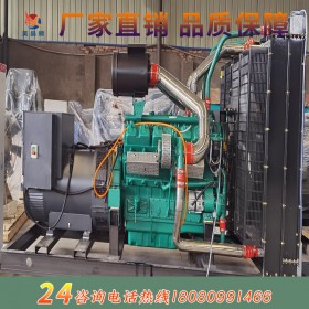 100KW濰柴動(dòng)力柴油發(fā)電機(jī)組 高原專用 全國(guó)聯(lián)保 售后無憂 廠家直銷