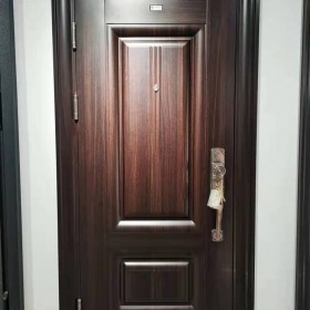 8522D甲級(jí)不銹鋼韓式入戶防盜門(mén) 別墅大門(mén)定制 可裝智能鎖