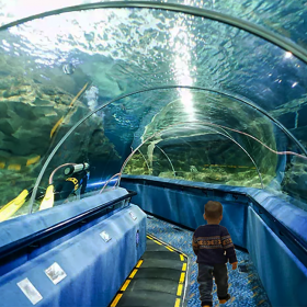 戲浪亞克力魚缸 亞克力海洋館設(shè)計工程 國內(nèi)大型海洋館施工建造 圓柱魚缸