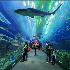 戲浪亞克力魚缸 亞克力海洋館設(shè)計(jì)工程 國內(nèi)大型海洋館施工建造 圓柱魚缸