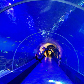 戲浪海洋館施工大型魚缸訂制海洋館亞克力魚缸海洋館水族缸設(shè)計(jì)