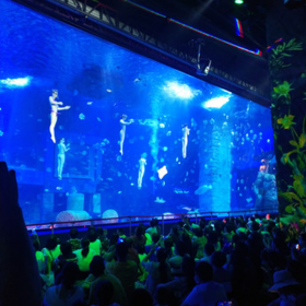 海洋館餐廳設計與修建 海洋館項目設計施工