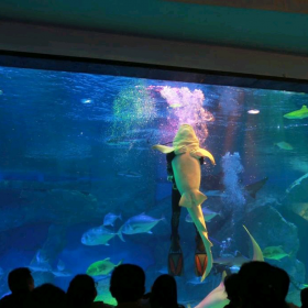 戲浪專業(yè)制作海洋館設(shè)計(jì)水母展示館 建造 亞克力水母館設(shè)計(jì)建造水母工程