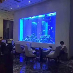 海洋館工程施工設計海洋主題項目洽談