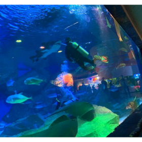 海洋館工程施工海洋館設(shè)計海洋館運營