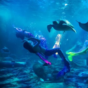 四川戲浪亞克力大魚缸  海洋館設(shè)計 海洋館施工建造 別墅魚缸設(shè)計