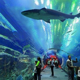 戲浪海洋館設(shè)計(jì)紫外線殺菌燈 維生過濾設(shè)備 大魚缸專用殺菌燈