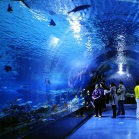 戲浪海洋館設(shè)計(jì)過濾蛋白質(zhì)分離器海水養(yǎng)魚過濾海洋館設(shè)備配置