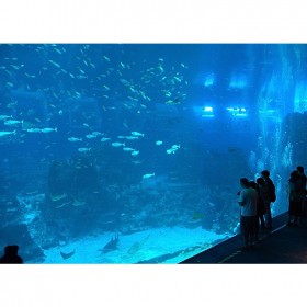 戲浪海洋館過濾設(shè)計(jì)蛋白質(zhì)分離器施工制作廠定做蛋分器