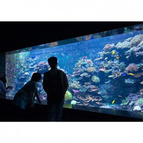 戲浪大型海洋館工程設(shè)計(jì)建造海洋館圖片設(shè)計(jì)水族工程設(shè)計(jì)