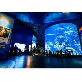 戲浪大型亞克力魚缸工程魚缸定做 海洋館項目設計 別墅大魚缸設計