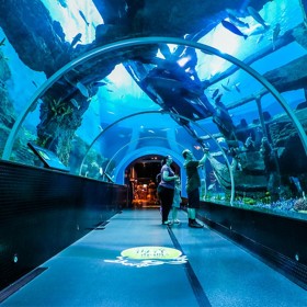 戲浪海洋館工程施工 設計水族景觀 海洋館過濾設備配置安裝
