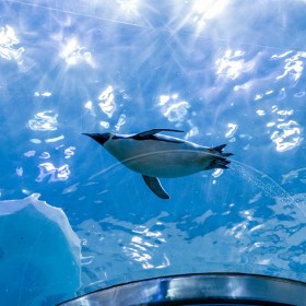 戲浪大型魚缸定做 圓柱亞克力大魚缸定制 魚缸設計施工海洋館