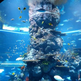 戲浪亞克力玻璃魚缸優(yōu)缺點(diǎn) 制作視頻 定做大魚缸價(jià)格 造景設(shè)計(jì)廠家價(jià)格