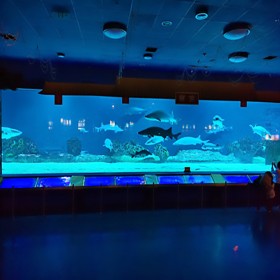 云南海洋世界設(shè)計(jì)與建造 水族館工程修建 大魚缸定做廠