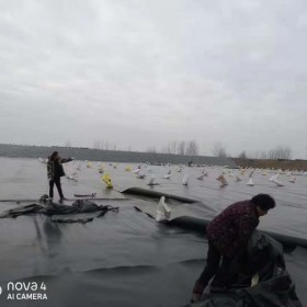 四川出口級hdpe防滲膜 土工膜 垃圾填埋場土工膜 沼氣池土工膜