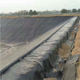 成都HDPE防滲膜  生活污水防滲 礦渣堆場(chǎng)防滲 防滲用hdpe防滲膜廠(chǎng)家 尾礦庫(kù)防滲膜   垃圾場(chǎng)填埋防滲膜