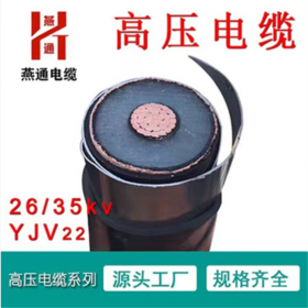 交聯(lián)聚乙烯絕緣護(hù)套電力電纜  高壓防爆防水  電力傳輸穩(wěn)定電纜 廠家直銷