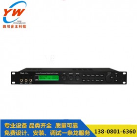 數(shù)字效果器/Vinal X5 卡拉OK效果器   音箱處理器  韻樂(lè)效果器