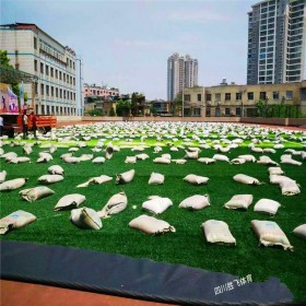 人造草坪足球場(chǎng)廠(chǎng)家直銷(xiāo) 成都人造草坪施工 四川人造草坪價(jià)格