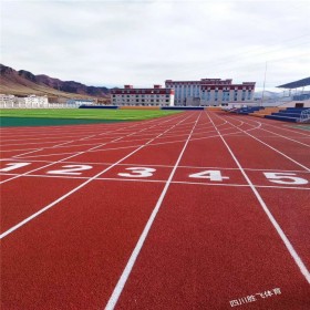 新國標(biāo)透氣型塑膠跑道施工透氣型塑膠跑道價(jià)格-透氣型塑膠跑道廠家-