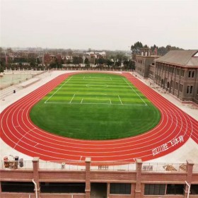 專業(yè)施工戶外新國標(biāo)環(huán)保復(fù)合型 混合型 透氣型 塑膠跑道質(zhì)保10年