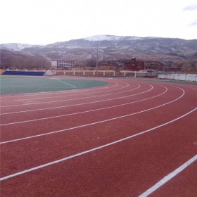 成都新國標(biāo)場(chǎng)地 透氣型塑膠跑道 混合型塑膠跑道