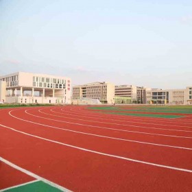 生產(chǎn)塑膠跑道廠家 勝飛康體塑膠跑道球場(chǎng) 專業(yè)塑膠跑道材料廠家 供應(yīng)運(yùn)動(dòng)場(chǎng)及球場(chǎng)塑膠跑道