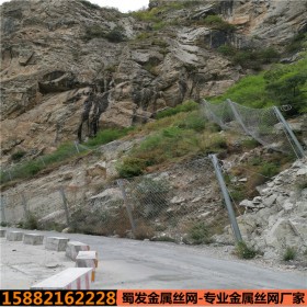 四川立柱邊坡防護網(wǎng)廠家 被動邊坡防護網(wǎng)廠家批發(fā)