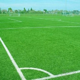 成都足球場(chǎng)草坪 草坪足球場(chǎng) 足球場(chǎng)地面材料建設(shè)足球場(chǎng)工程 施工工程費(fèi)用