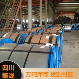 攀瀧鍍鋅板 鍍鋅花紋板 花紋板報價 鋼結構用品 可加工鍍