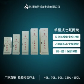 遼寧柜式無管網(wǎng)七氟丙烷自動滅火系統(tǒng)生產(chǎn)廠家送貨上門