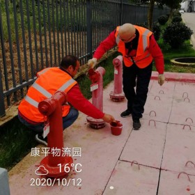 新疆50L驅(qū)動瓶檢測費用  消防檢測維保   含稅含運