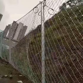 成都世旺 云貴川渝藏山體護(hù)坡治理邊坡防護(hù)網(wǎng)攔石頭網(wǎng)主動邊坡防護(hù)網(wǎng)被動網(wǎng)鋼絲繩網(wǎng)絞索網(wǎng)環(huán)形網(wǎng)