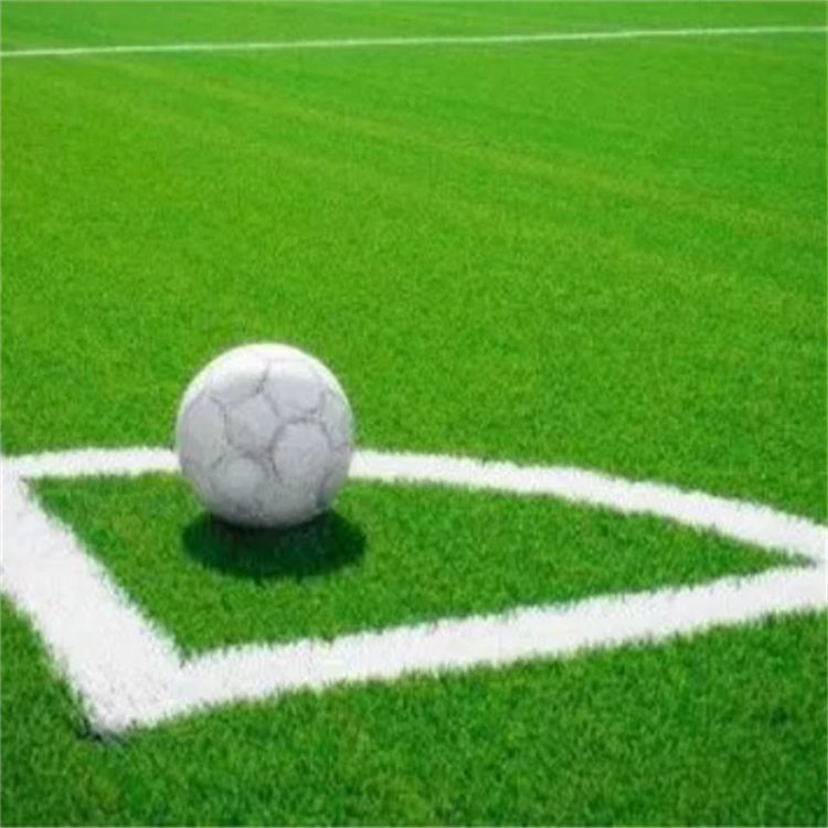 足球場(chǎng)人工草皮 室外門(mén)球場(chǎng)人造草坪 免填充抗氧化