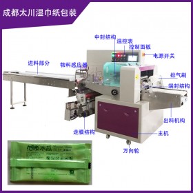 宜賓濕巾紙包裝機(jī)TCZB-250X嬰兒專用濕巾包裝機(jī)械 2年保修終身維護(hù)
