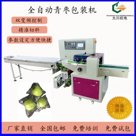 四川全自動(dòng)青棗包裝機(jī)TCZB-250X青棗自動(dòng)套袋包裝機(jī) 現(xiàn)貨當(dāng)天出