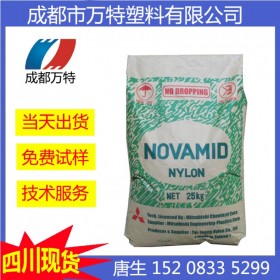 重慶現貨耐磨PA6 日本三菱工程 1010C2（粉）電子領域塑膠原料