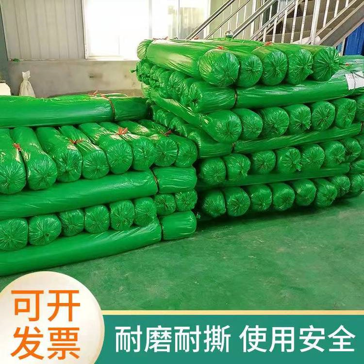綠色防塵蓋土網(wǎng) 工地4針綠化防塵網(wǎng) 煒杰 環(huán)保蓋煤網(wǎng)
