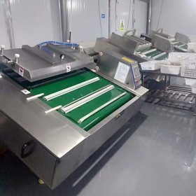 豆干全自動包裝機 商用大型泡菜真空包裝機 紅苕粉條真空包裝機威翔機械廠家直銷質量保證終身維修