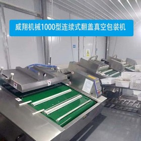 連續(xù)式粽子真空包裝機(jī) 自動(dòng)牛肉干真空包裝機(jī) 翻蓋式休閑食品真空機(jī)廠家1000型雙封口高配置高質(zhì)量