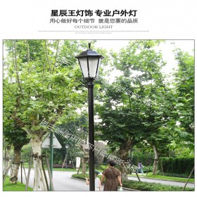 庭院燈 景觀燈 公園庭院燈 價(jià)格優(yōu)惠 歡迎來電咨詢