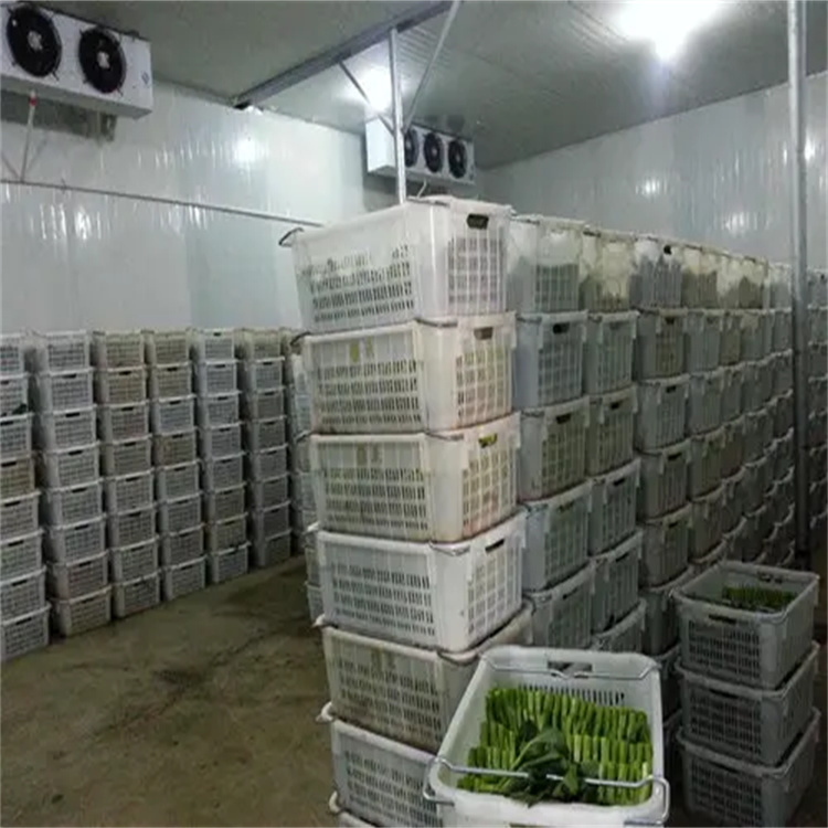 蔬菜保鮮庫 農(nóng)場蔬菜保鮮庫/水果冷藏庫安裝/水分不流失
