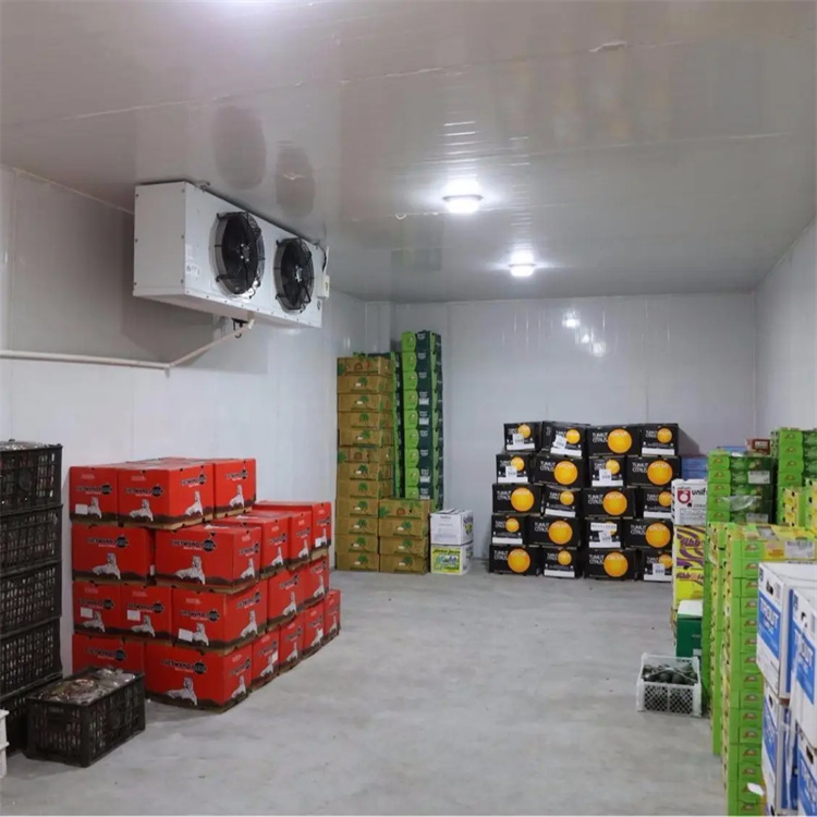 水果冷藏庫 全套設(shè)備冷庫一體機(jī)蔬菜水果肉類水產(chǎn)冷凍冷藏速凍庫