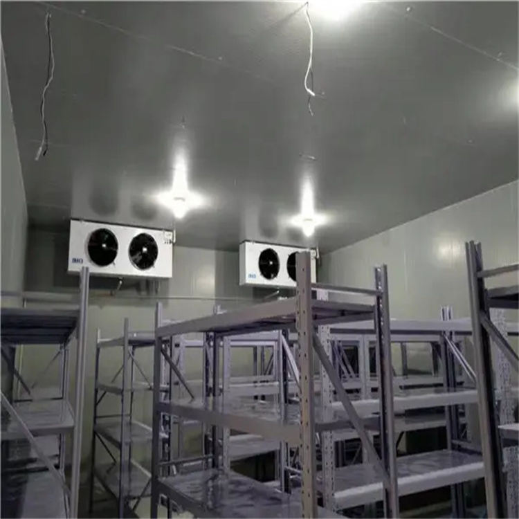 冷凍庫 冷凍庫定制 制冷設(shè)備 小型保鮮冷藏庫