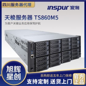 南充市浪潮服務(wù)器總經(jīng)銷商_政府學校醫(yī)院專用大型設(shè)備_浪潮天梭TS860M5高性能機架式服務(wù)器
