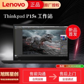 聯(lián)想ThinkPad P15S 2021款輕薄移動圖形工作站 15.6英寸高性能設計師游戲筆記本電腦 0BCD@i7-1165G7 16G 512G固態(tài) 【配置升級】32GB內(nèi)存 512G固態(tài)硬盤