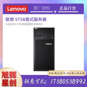 聯(lián)想 ThinkServer TS80XST58服務(wù)器 塔式主機(jī)ERP財(cái)務(wù)系統(tǒng)數(shù)據(jù)信創(chuàng)IBM整機(jī) TS80X【E-2224G 3.5G 4核4線程】 8G內(nèi)存/1TB硬盤/三年聯(lián)保【標(biāo)配】