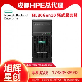惠普（HP）HPE ML30GEN10塔式服務(wù)器主機(jī)(替代ML30 GEN9)4個LFF熱插拔硬盤位 至強(qiáng)E-2224四核3.4G CPU主機(jī) 8G內(nèi)存+1塊2TB硬盤