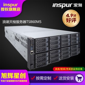 高密度機架式服務器_數(shù)據(jù)庫、內(nèi)存數(shù)據(jù)庫ERP場景部署服務器_TS860M5平臺服務器_4U8路企業(yè)級服務器